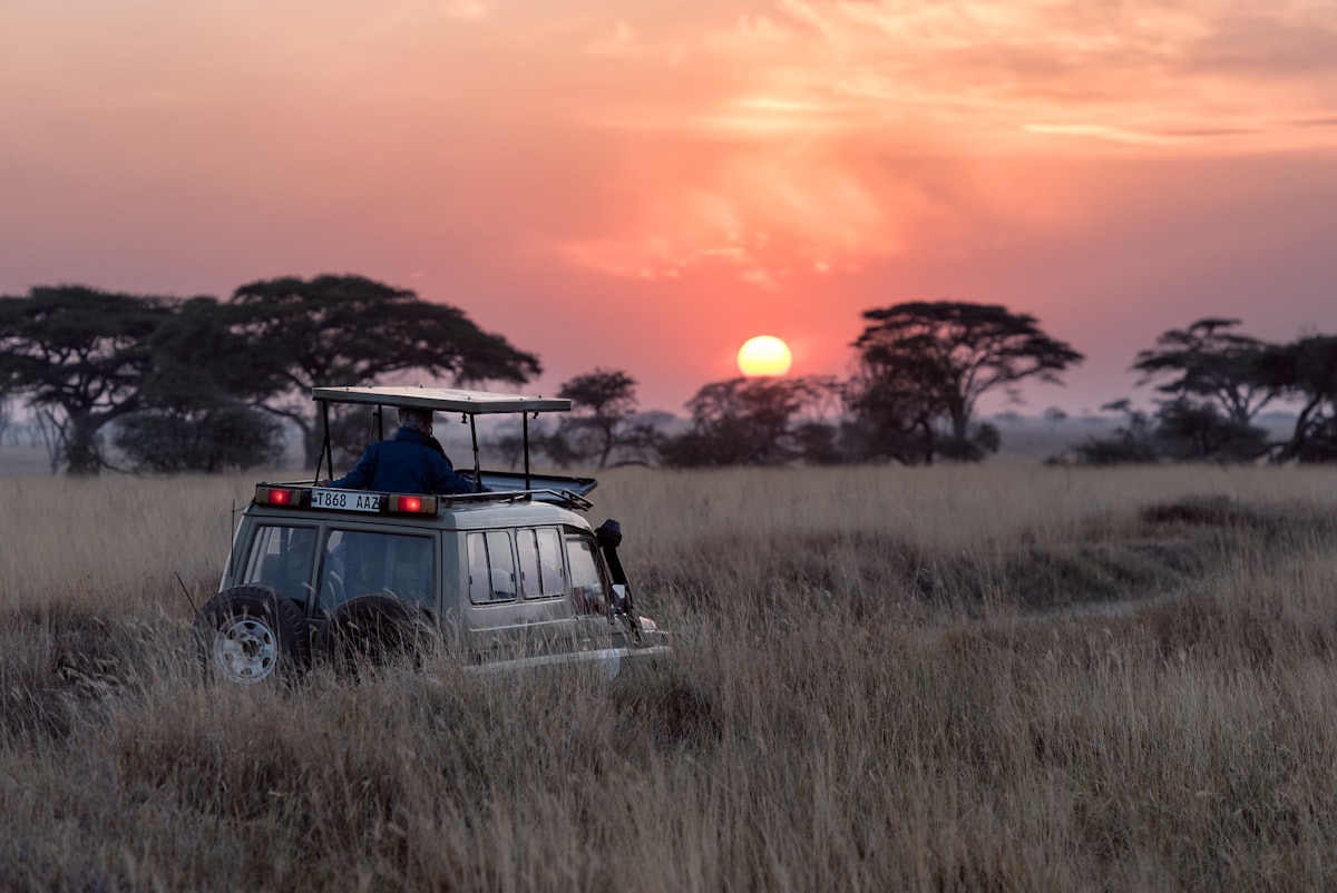AI-Driven Conservation: Balancing Algorithms and Indigenous Insight