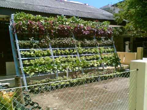 Youth Entrepreneurship in Agrotech