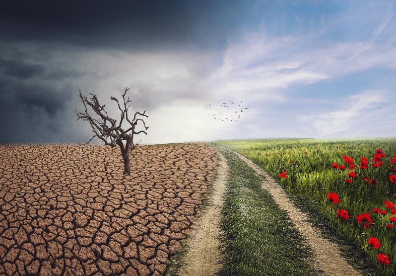 Climate Resilience Research Consortium