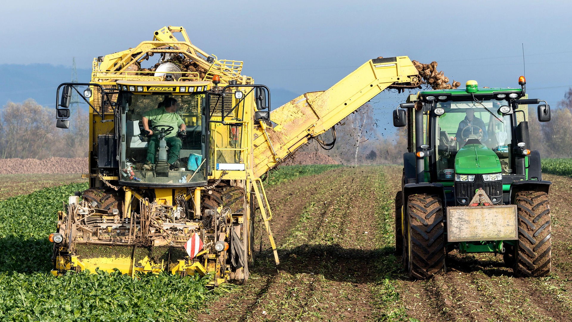 Youth Entrepreneurship in Agrotech