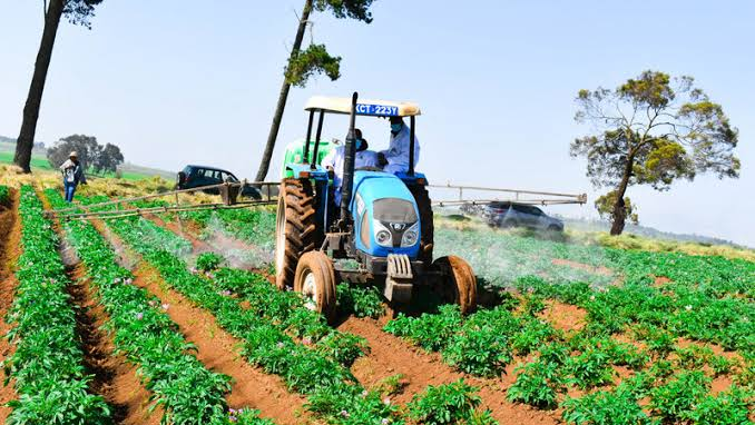 Empowering Kenyan Youths Through Sustainable Agribusiness